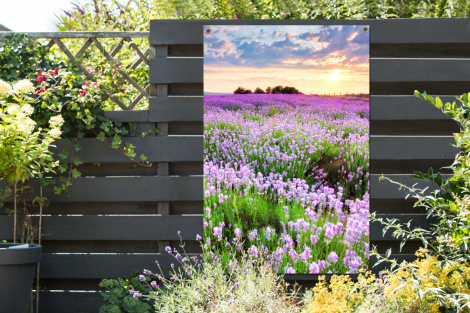 Tuinposter - Bloemen - Lavendel - Paars - Lucht - Zonsondergang - Weide - Natuur - Staand-2