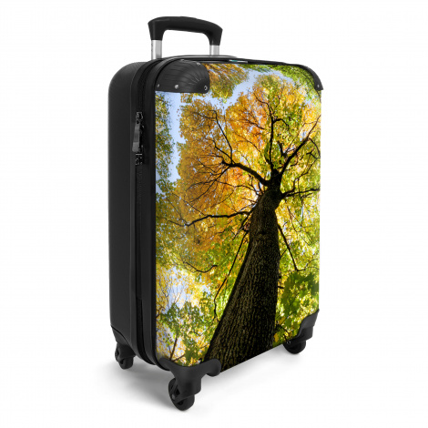 Koffer - Bomen - Herfst - Groen - Boomschors - Bladeren-2