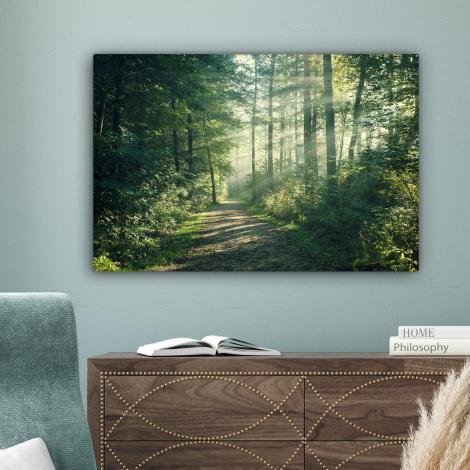 Canvas schilderij - Bos - Pad - Zon-4