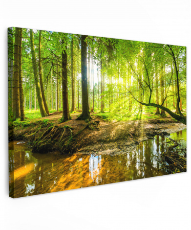  Leinwandbild Wald Landschaft Wasser Bäume Sonne