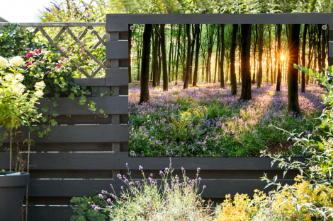Tuinposter - Bos - Bloemen - Lavendel - Zon - Paars - Natuur - Liggend-thumbnail-2