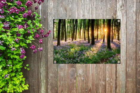 Tuinposter - Bos - Bloemen - Lavendel - Zon - Paars - Natuur - Liggend-4