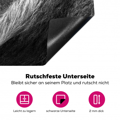 Herdabdeckplatte Löwe gegen schwarzen Hintergrund in schwarz und weiß-4