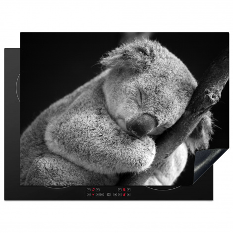 Inductie beschermer - Slapende koala op zwarte achtergrond in zwart-wit