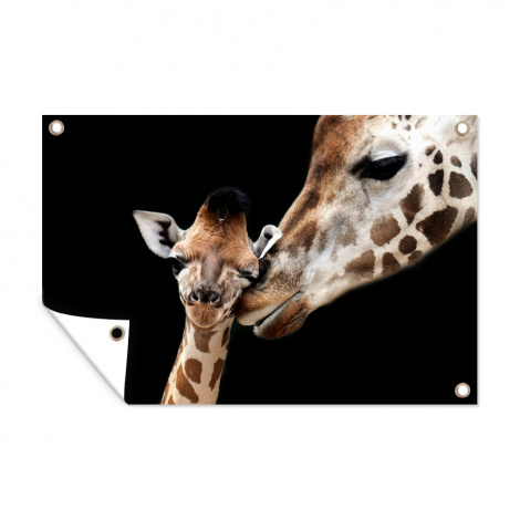 Tuinposter - Giraffe - Dieren - Zwart - Portret - Dieren - Liggend-1
