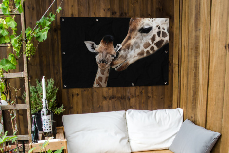 Tuinposter - Giraffe - Dieren - Zwart - Portret - Dieren - Liggend-3