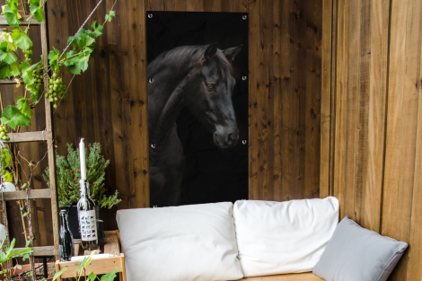 Tuinposter - Paard - Dieren - Zwart - Portret - Staand-4