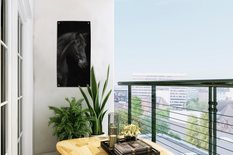 Tuinposter - Paard - Dieren - Zwart - Portret - Staand-thumbnail-3