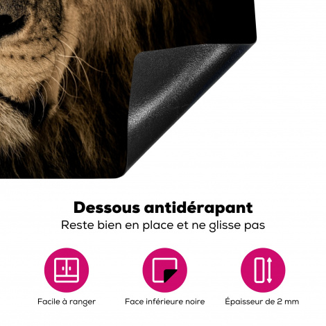 Protège-plaque à induction - Lion - Animaux - Noir - Portrait-4