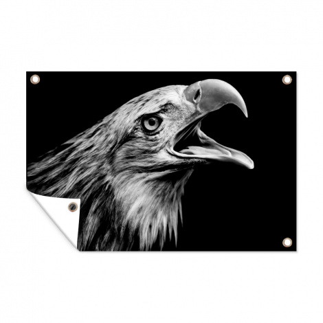 Tuinposter - Adelaar - Portret - Roofvogels - Zwart - Wit - Vogel - Liggend-thumbnail-1