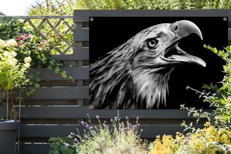 Tuinposter - Adelaar - Portret - Roofvogels - Zwart - Wit - Vogel - Liggend-thumbnail-2