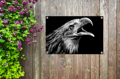 Tuinposter - Adelaar - Portret - Roofvogels - Zwart - Wit - Vogel - Liggend-thumbnail-4