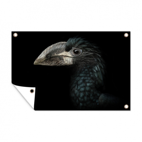 Tuinposter - Vogel - Portret - Neushoornvogel - Zwart - Dieren - Liggend
