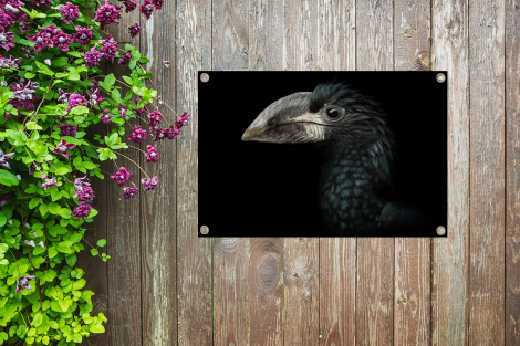 Tuinposter - Vogel - Portret - Neushoornvogel - Zwart - Dieren - Liggend-thumbnail-4