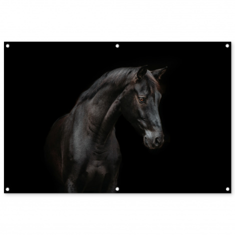 Tuinposter - Paard - Dieren - Zwart - Portret - Liggend-1