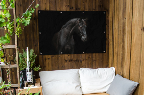 Tuinposter - Paard - Dieren - Zwart - Portret - Liggend-3