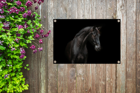 Tuinposter - Paard - Dieren - Zwart - Portret - Liggend-4
