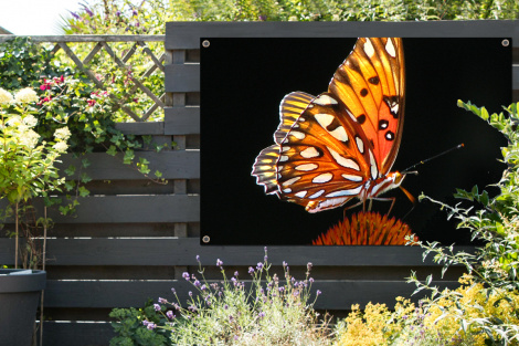 Tuinposter - Vlinder - Bloemen - Insect - Portret - Zwart - Oranje - Liggend-2