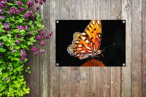 Tuinposter - Vlinder - Bloemen - Insect - Portret - Zwart - Oranje - Liggend-thumbnail-4