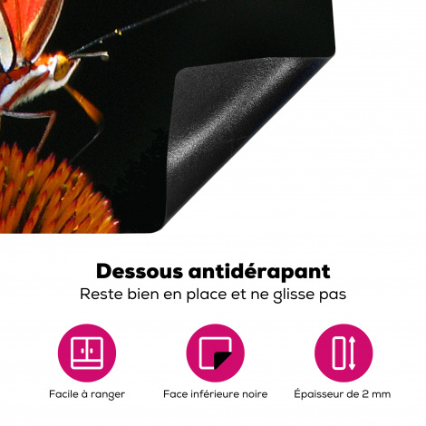 Protège-plaque à induction - Papillon - Fleurs - Insecte - Portrait - Noir - Orange-4