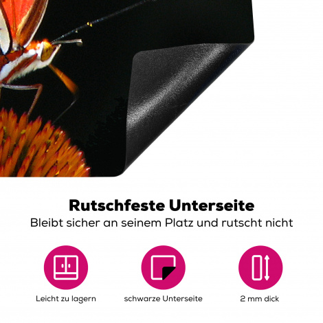 Herdabdeckplatte - Schmetterling - Blumen - Insekt - Porträt - Schwarz - Orange-4
