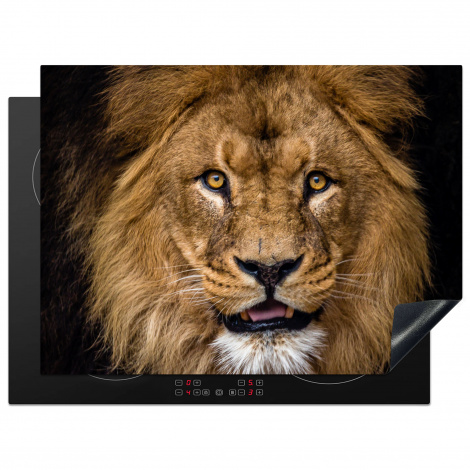 Protège-plaque à induction - Lion - Portrait - Noir - Animaux