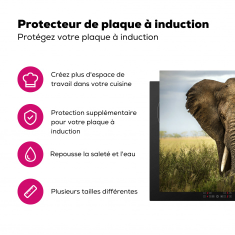 Protège-plaque à induction - Éléphant - Nature - Herbe - Animaux - Paysage-3