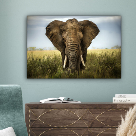 Canvas schilderij - Olifant - Natuur - Gras - Dieren-4