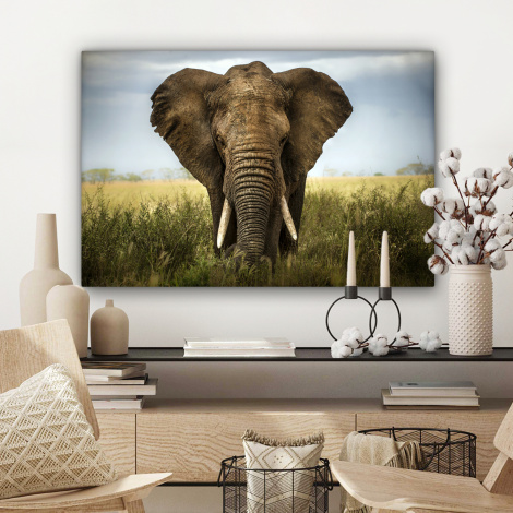Canvas schilderij - Olifant - Natuur - Gras - Dieren-3