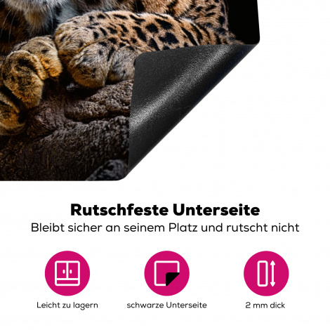 Herdabdeckplatte - Wildtiere - Panther - Porträt - Schwarz - Tiere-4
