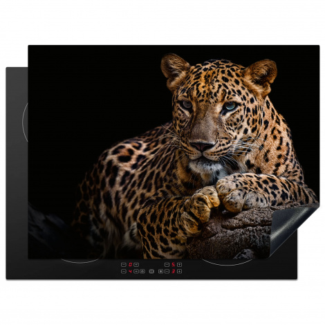 Herdabdeckplatte - Wildtiere - Panther - Porträt - Schwarz - Tiere