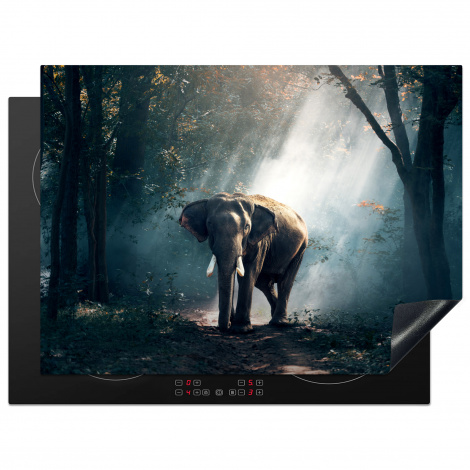 Herdabdeckplatte - Elefant - Tiere - Licht - Wald - Natur - Wildtiere