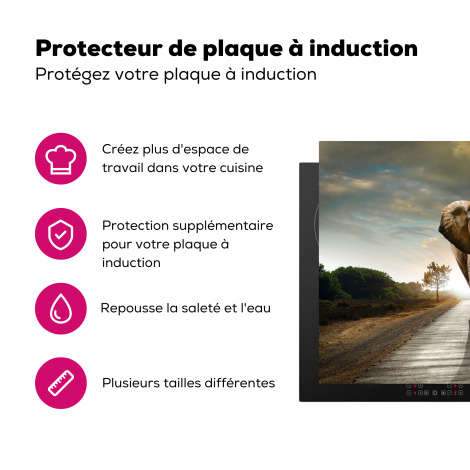 Protège-plaque à induction - Éléphant - Route - Animaux - Coucher de soleil - Paysage-3