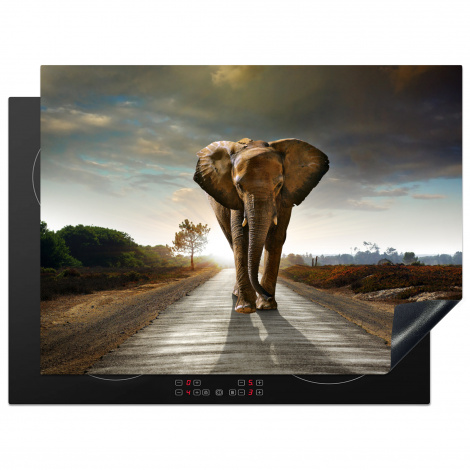 Protège-plaque à induction - Éléphant - Route - Animaux - Coucher de soleil - Paysage