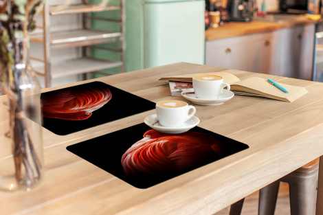 Premium placemats (6 stuks) - Flamingo - Veren - Roze - 45x30 cm-3
