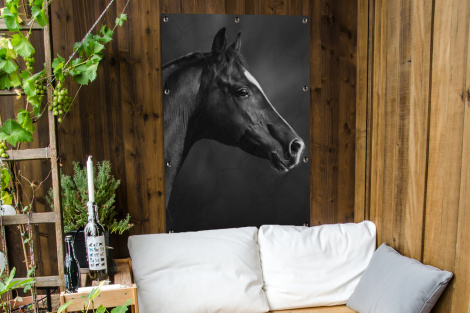 Tuinposter - Paard - Dieren - Zwart - Wit - Portret - Staand-thumbnail-4