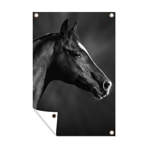 Tuinposter - Paard - Dieren - Zwart - Wit - Portret - Staand-1
