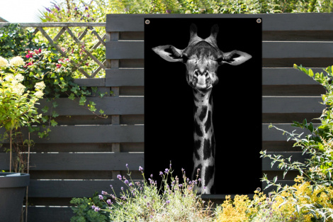 Tuinposter - Giraffe - Portret - Dieren - Zwart - Wit - Staand-2