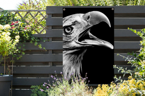 Tuinposter - Adelaar - Portret - Roofvogels - Zwart - Wit - Vogel - Staand-2