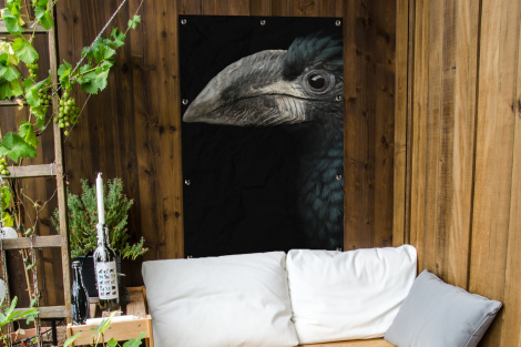 Tuinposter - Vogel - Portret - Neushoornvogel - Zwart - Dieren - Staand-4
