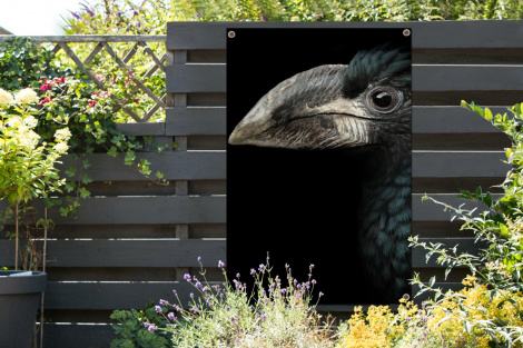 Tuinposter - Vogel - Portret - Neushoornvogel - Zwart - Dieren - Staand-2