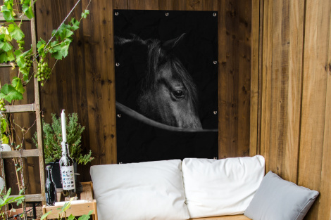 Tuinposter - Paarden - Portret - Zwart - Dieren - Staand-4