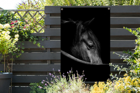 Tuinposter - Paarden - Portret - Zwart - Dieren - Staand-thumbnail-2