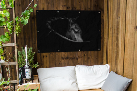 Tuinposter - Paarden - Portret - Zwart - Dieren - Liggend-thumbnail-3