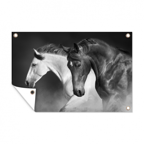 Tuinposter - Paarden - Dieren - Zwart - Wit - Portret - Liggend-1