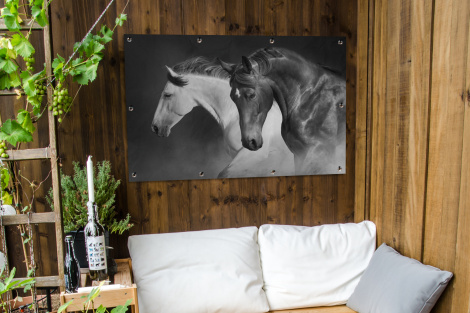Tuinposter - Paarden - Dieren - Zwart - Wit - Portret - Liggend-thumbnail-3