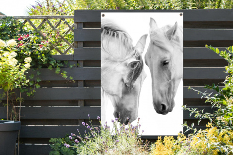 Tuinposter - Paard - Dieren - Portret - Wit - Staand-2