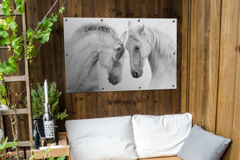 Tuinposter - Paard - Dieren - Portret - Wit - Liggend-thumbnail-3