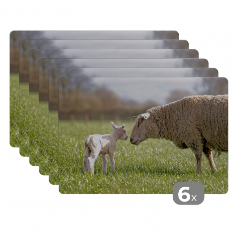 Tischset (6er Set) - Schafe - Gras - Lamm - 45x30 cm