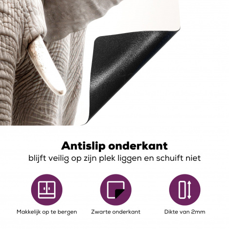 Inductiebeschermer - Olifant - Wilde dieren - Portret - Wit-4